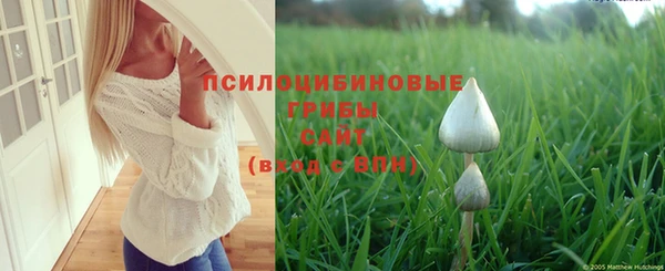 Альфа ПВП Алзамай
