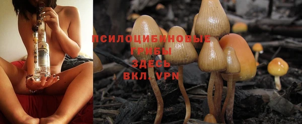 дмт Алексин