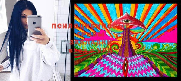 Альфа ПВП Алзамай