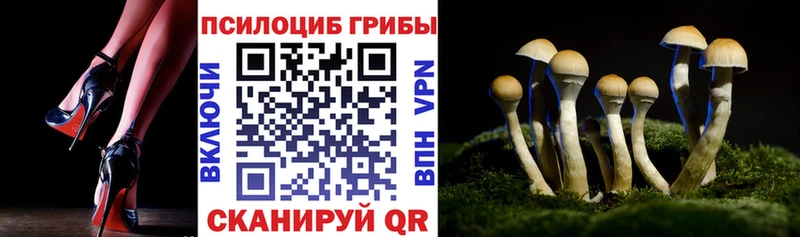 KRAKEN маркетплейс Завитинск Псилоцибиновые грибы мицелий